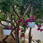 Сasa de vacaciones Kuca Za Odmor Neva *