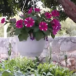 Kuca Za Odmor Neva Сasa de vacaciones