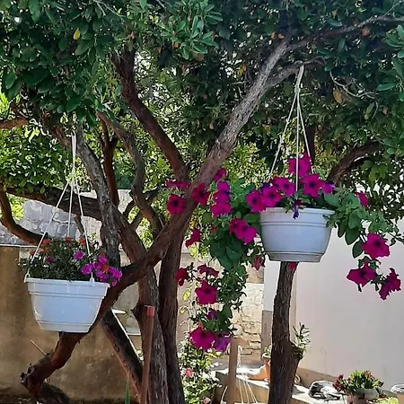 Feriehus Kuca Za Odmor Neva *