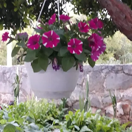 Kuca Za Odmor Neva Сasa de vacaciones