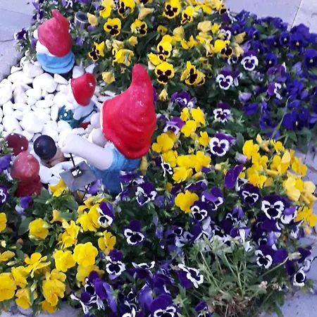 Kuca Za Odmor Neva *