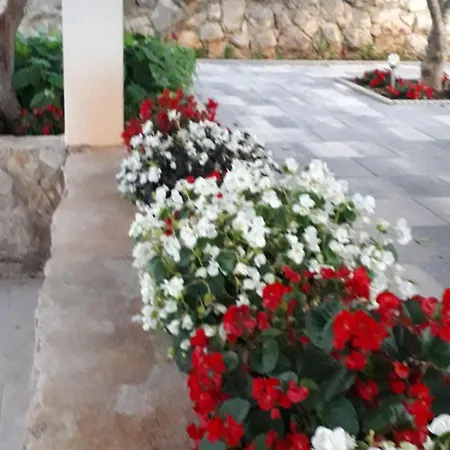 Kuca Za Odmor Neva Nyaraló