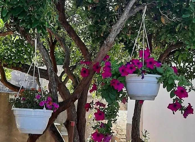 בית נופש Kuca Za Odmor Neva *